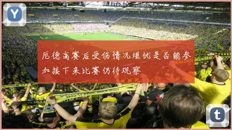 厄德高赛后受伤情况堪忧是否能参加接下来比赛仍待观察