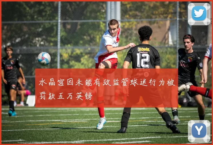水晶宫因未能有效监管球迷行为被罚款五万英镑